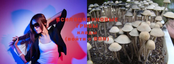mdpv Иннополис