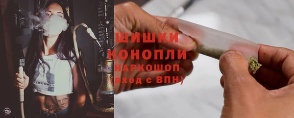 гидра Заволжск