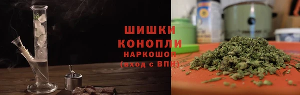 дживик Чита