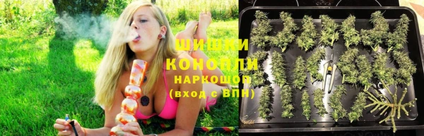 мяу мяу мука Инсар