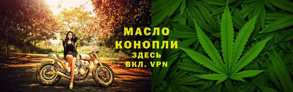 мяу мяу мука Инсар
