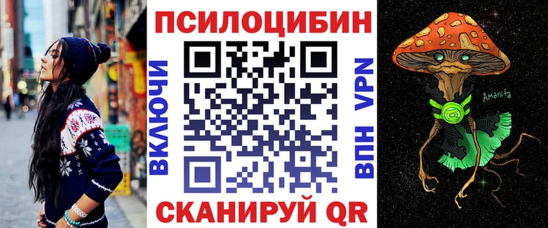 цены   Ленинск  Псилоцибиновые грибы GOLDEN TEACHER 